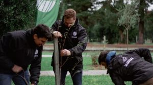 Fundación Reforestemos anuncia ambicioso plan de reforestación y lidera iniciativas de restauración y arbolado urbano