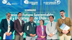 Ministra Williams anuncia que en junio se creará el Instituto Tecnológico y de Investigación Público de Litios y Salares