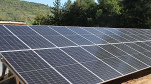 Empresa chilena implementará sofisticada herramienta para medir los beneficios de la energía solar en el sector agrícola
