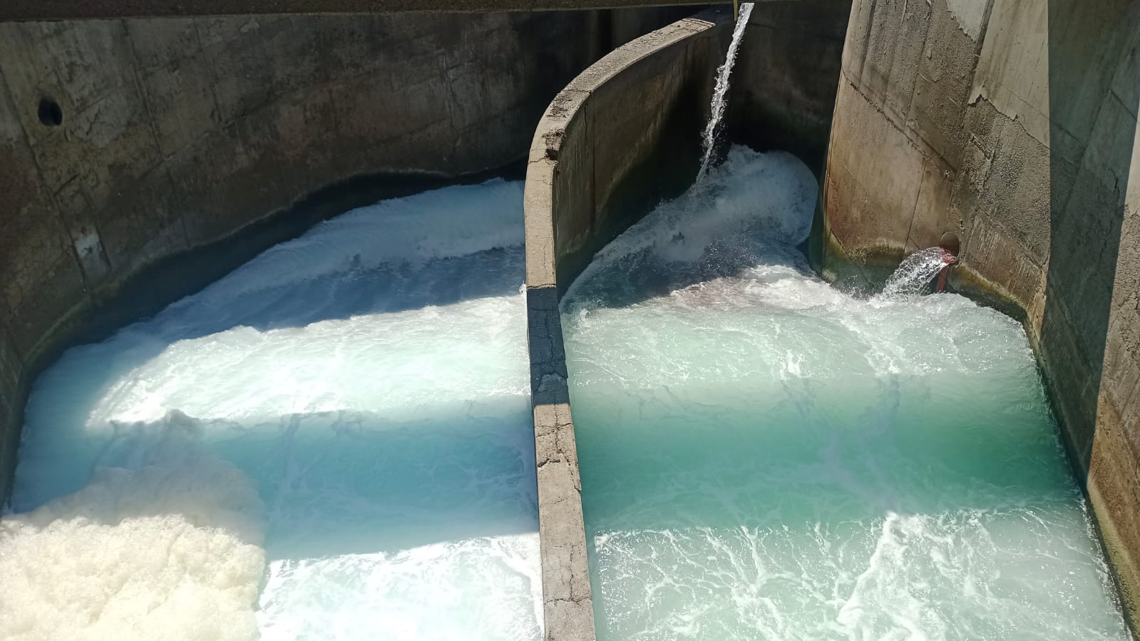 Científicos de la Universidad de Antofagasta desarrollan tecnología biológica que será implementada en plantas desalinizadoras de aguas Científicos de la Universidad de Antofagasta desarrollan tecnología biológica que será implementada en plantas desalinizadoras de aguas