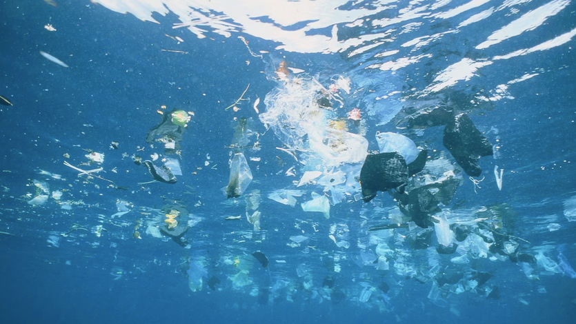 Día internacional sin plásticos: Chile debe reutilizar y promover la economía circular