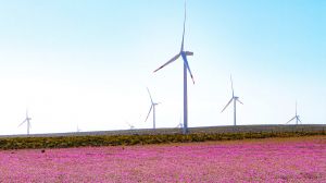 Innergex: “No tiene sentido promover una solución a la crisis hídrica utilizando tecnologías que no ayuden a detener los impactos del cambio climático” Innergex: “No tiene sentido promover una solución a la crisis hídrica utilizando tecnologías que no ayuden a detener los impactos del cambio climático”