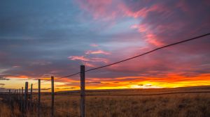 Hidrógeno verde en Magallanes: realizarán levantamiento de insumos clave para el desarrollo de proveedores Hidrógeno verde en Magallanes: realizarán levantamiento de insumos clave para el desarrollo de proveedores
