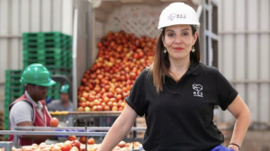 Red de Alimentos beneficia a más de 300 mil personas