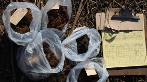 Estudio revela que concentraciones de metales pesados generadas por termoeléctricas en Coronel, son más altos que valores base Estudio revela que concentraciones de metales pesados generadas por termoeléctricas en Coronel, son más altos que valores base