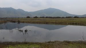 Microsoft invierte en proyectos que aportan agua a la cuenca del Maipo