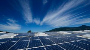 ACESOL alerta sobre estafas en el sector fotovoltaico