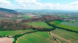 IWCA lanza la primera calculadora de gases efecto invernadero para la industria del vino en Latinoamérica