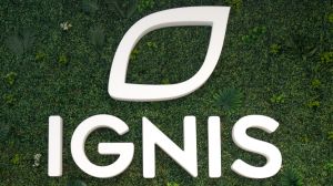Española Ignis anuncia freno y disminución de proyectos de hidrógeno y amoníaco verde en Magallanes