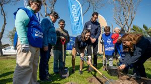 Plan de arborización urbana de Maipú avanza con la plantación de 130 árboles