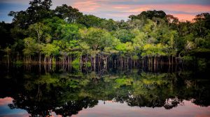 Arcadis reafirma su compromiso global con la sostenibilidad en la COP30