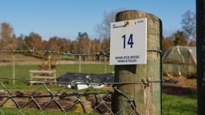 Octocelio: una nueva plataforma para la gestión del agua rural