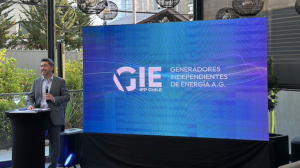 Generadores Independientes de Energía: la evolución de GPM y su apuesta  por un mercado eléctrico más diverso y competitivo