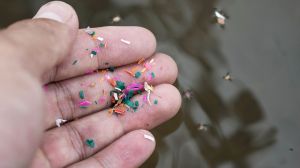 Informe global advierte alza de contaminación por plástico y reabre debate sobre hábitos de hidratación en Chile