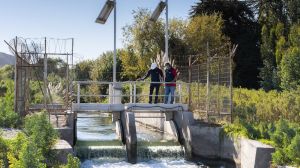 Cómo Elqui y Choapa sostienen la agricultura en un escenario de sequía permanente