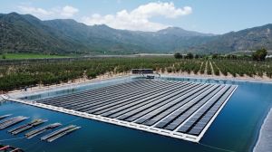 Modernización del modelo de distribución eléctrica será el eje central del debate en Proyecta Solar 2026