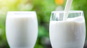Cinco tendencias marcan el consumo de leche los chilenos
