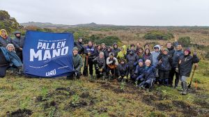 Festival Pala en Mano busca restaurar bosque nativo degradado en Puerto Varas