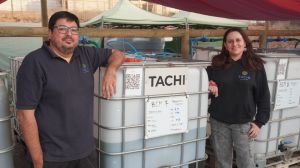 Tachi, la startup que transforma microalgas de agua dulce en la solución contra la crisis hídrica y climática en el agro